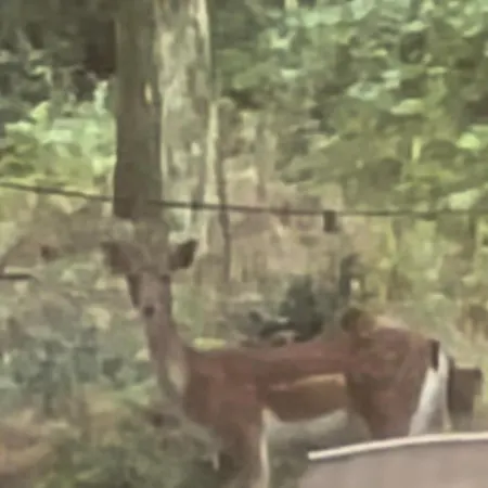 Casa Della Nonna Porretta Terme