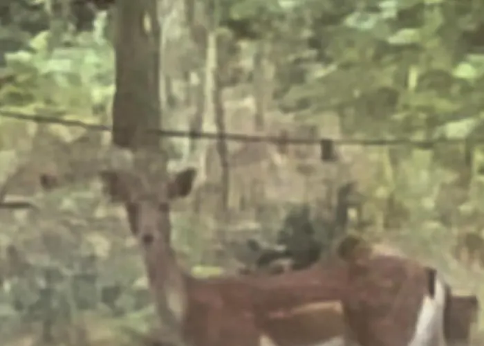 Casa Della Nonna Porretta Terme